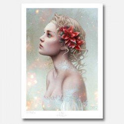 Poinsettia - Lámina...